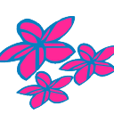 Air Rarotonga logo